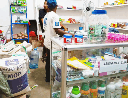 Disadvantages of Using Too Many Drugs in Poultry Farming