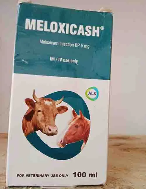 MELOXICAM INJECTION