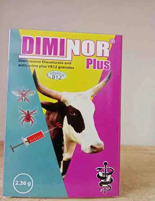 Maliza ndorobo (anemia) kwa 100%